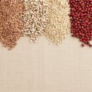 곡물이네 이미지