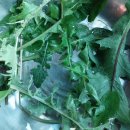 선비목욕탕 이미지