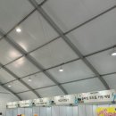 청주 직지문화축제 실시간 방문후기(주차 팁, 먹거리, 구경거리, 체험부스 등)