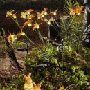 그린밸리펜션 이미지