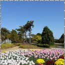 원주민원행정사사무소 이미지