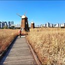 소래습지생태공원 이미지