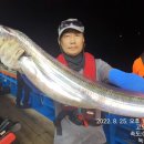 고흥-2호 이미지