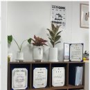 행정사 사무소 이음 이미지