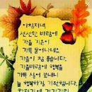 숲속의빈터