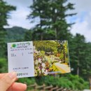 산소리숲마을 | 경기도 가평 가볼만한 곳 피톤치드 숲길 ::잣향기 푸른숲