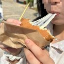 [2박3일 경주여행(3)] 황리단길 분위기 좋은 카페, 경주빵 맛집 비교