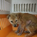 보개산로 이미지