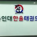 용인대 새로 태권도 이미지