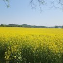 철길농장 이미지