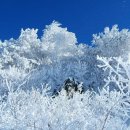 충북 보은 속리산(천황봉.1,058m) 눈꽃 산행 안내 이미지