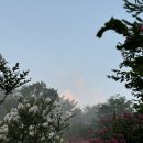 상하평화목장 이미지