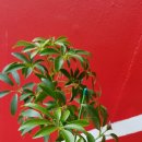 해안중학교 이미지