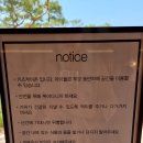 드디어 가본 북구 핫플 복합문화공간 'mrnw(미래농원)'! 독특한 건축물과 초록초록 정원 힐링 맛집