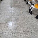 에스제이크리너 네이버블로그