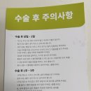 오스템임플란트(주) | 20대 오스템 임플란트 후기!(고통, 비용, 붓기)