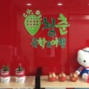 성신여행사 이미지