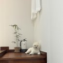 백화stay 이미지