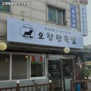 오향왕족발 - 보성군 태백산맥길 14 | 오향왕족발