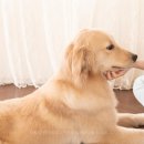 신공항동물병원 이미지