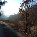 용한농장 이미지