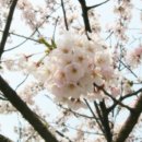 웰리스 휘트니스 이미지