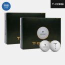 티코어 (T-CORE)
