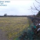 성산읍-2 이미지