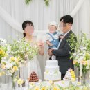 달그리고강 | 대구 인터불고 엑스코 라그라나 돌잔치 후기 상세 견적 포함, 더뷔페앳 비교 (by 강스튜디오,대구 백일날)