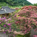 구암양돈 이미지