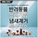 크린 | 버려진 공간이 새집처럼! 서울특수청소 서강크린 후기