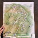 카페몽몽 | 군위 카페 사유원 몽몽차방