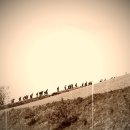 바우길 17구간 이미지