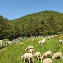 남해-190 이미지