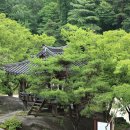 너럭바위 민박 이미지