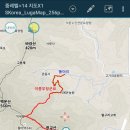 이종무장군대마도정벌 이미지