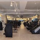 타이거 휘트니스 이미지