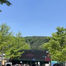 마이민트페이퍼 | 뷰티풀민트라이프 2026 그 뜨거운 개고생의 기록 🌿