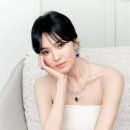비컷 이미지