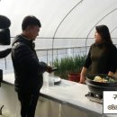 초석농장 이미지