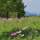 낙동강관리본부 화명생태공원 15 이미지