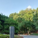 훈아이용소 네이버블로그
