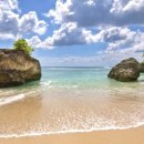 빠당빠당 이미지