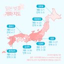 [일본 여행] 일본 벚꽃여행 일본 소도시 벚꽃명소 TOP5 이미지