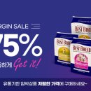 요술강아지 이미지