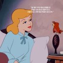 도안신도시부자공인중개사사무소 이미지