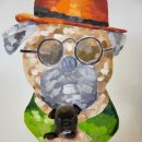 제주 애견 아가야 이미지