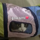 제로100 PC 구래동점 | 구래동 치킨 맛집 '노상치킨 김포 구래점' 리뷰ㅣ바삭하고 촉촉한 무항생제 1등급 닭이라고?