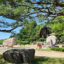 성철농장 이미지