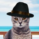 스마일애견 이미지